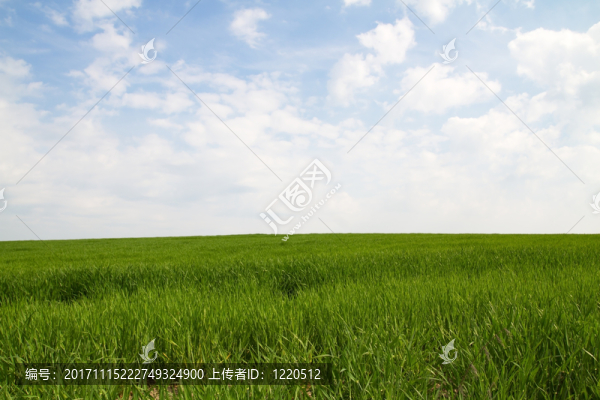 ackerland在巴伐利亞