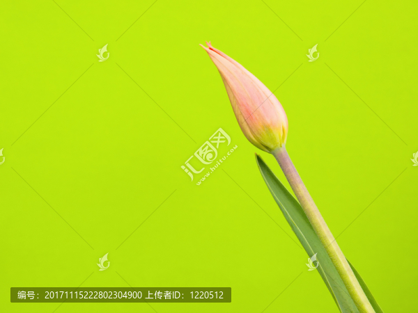 安排