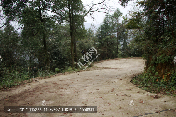 山間小路