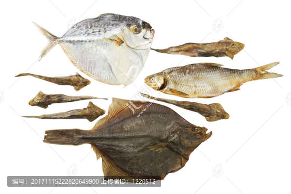 食物