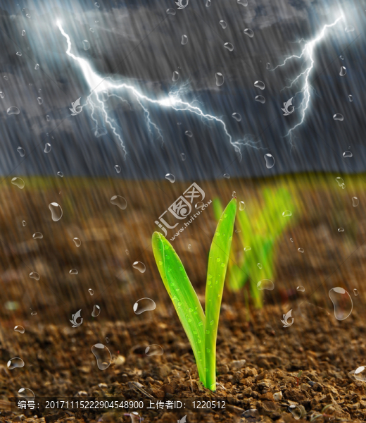 阿克雨