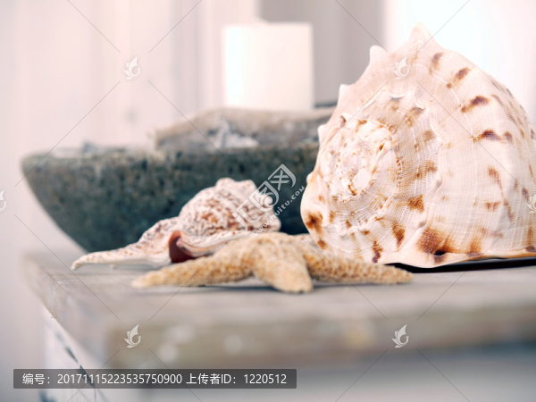 假日