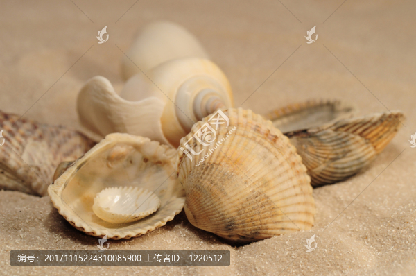 假日