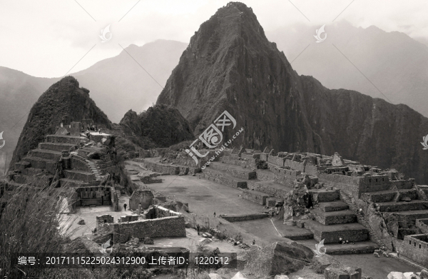 山