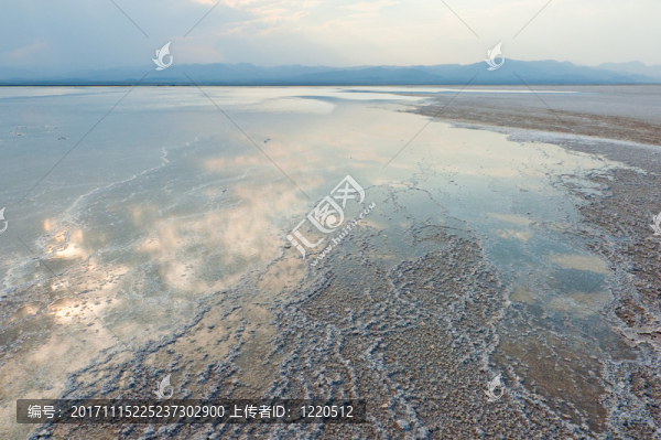 鹽