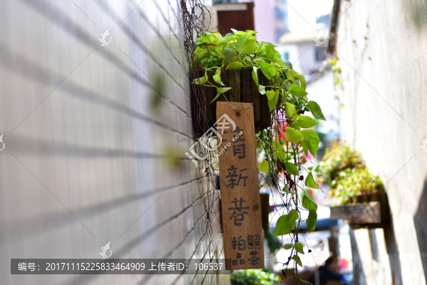 清新小巷子