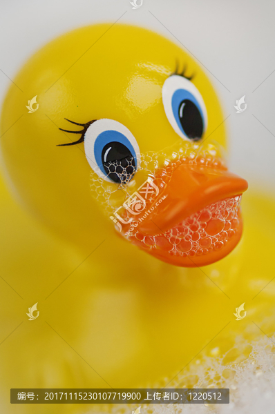 斯托伊