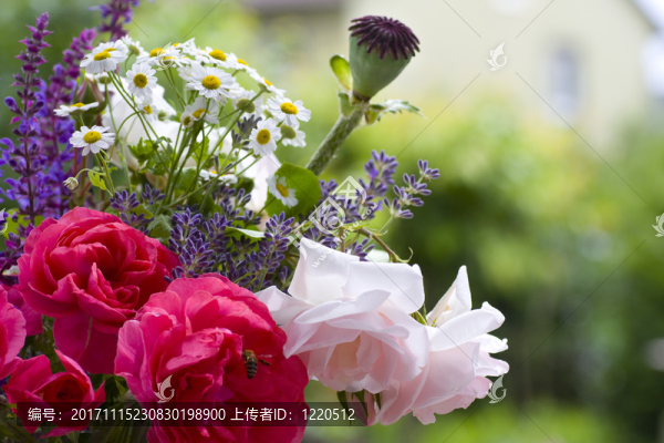 甘菊玫瑰花束