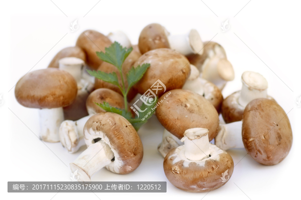 棕色香菇和歐芹