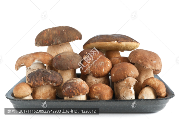 隔離的