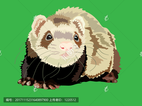 說明