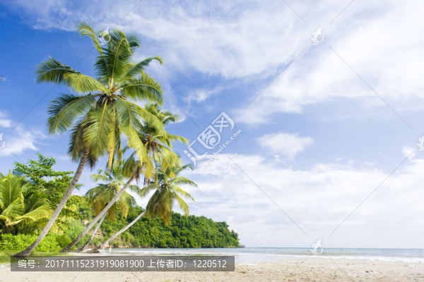 海灘