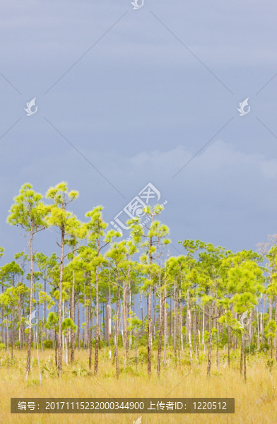 風(fēng)景