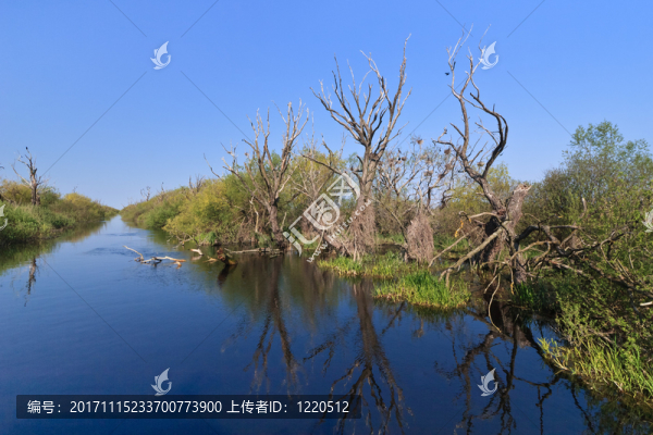藍色
