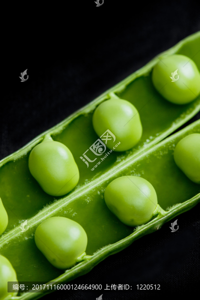 食物
