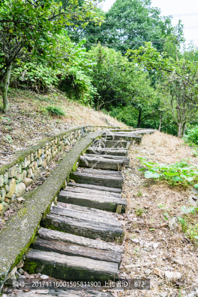 山道