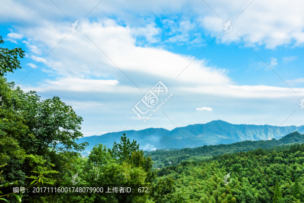 藍天竹林