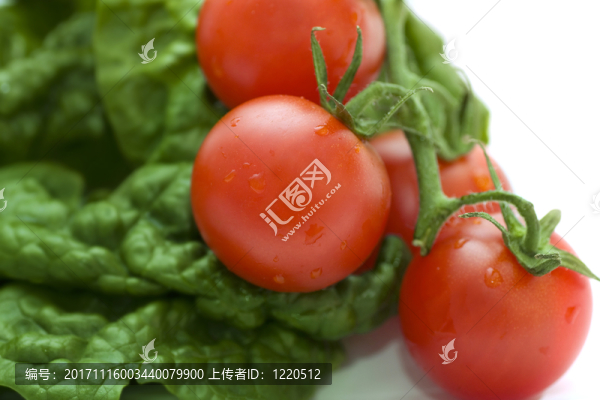 綠色的