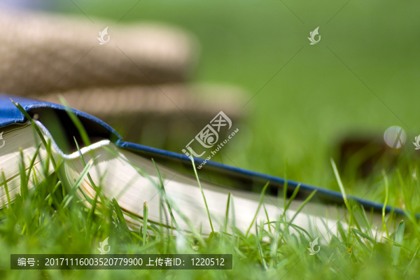 在草地上打開的書