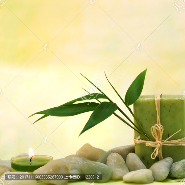 與草本肥皂和樹葉的健康