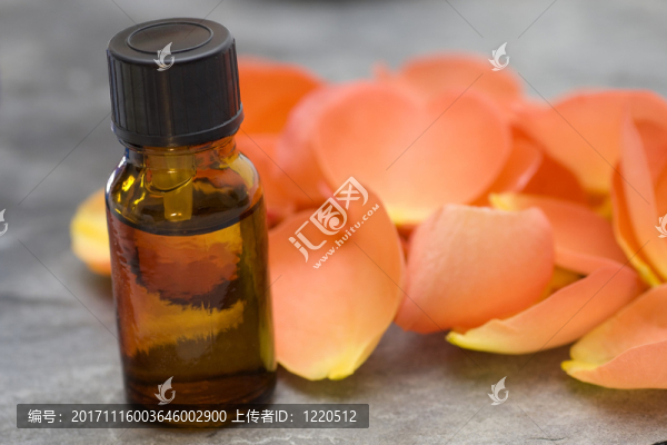 玫瑰