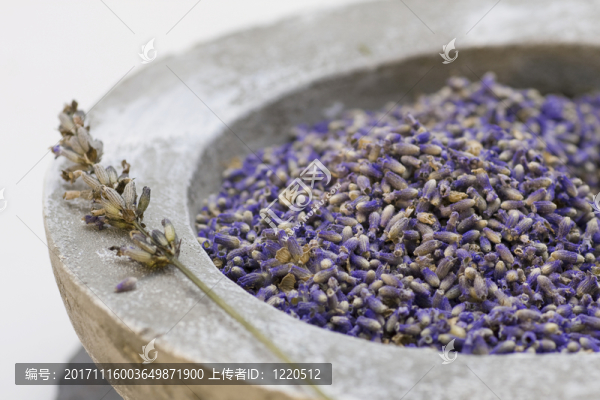 健康護(hù)理產(chǎn)品用薰衣草種子