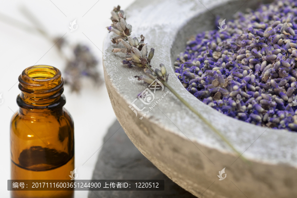 健康護(hù)理產(chǎn)品薰衣草油