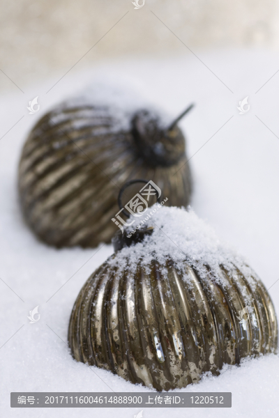 兩個(gè)銀色球形樹垂直-匯圖網(wǎng) www.fosd68.com 兩個(gè)銀色球形樹垂直