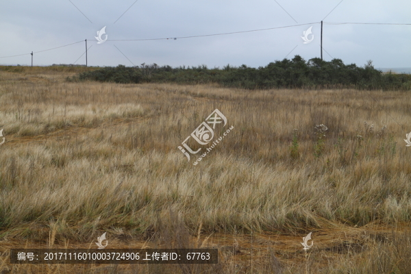 田野秋色