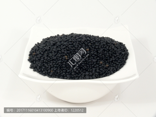 白鯨扁豆