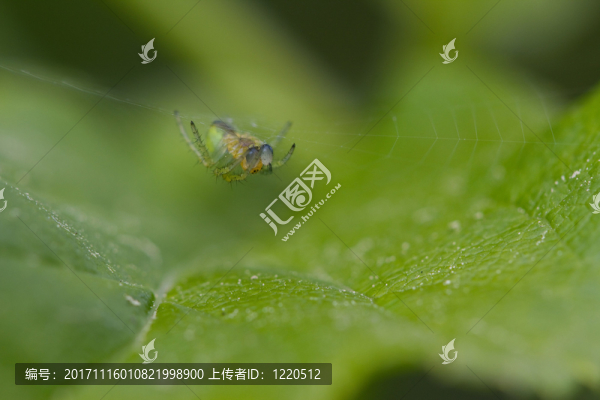 等候