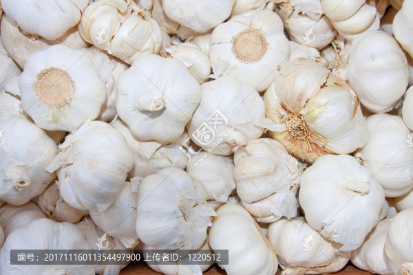食物