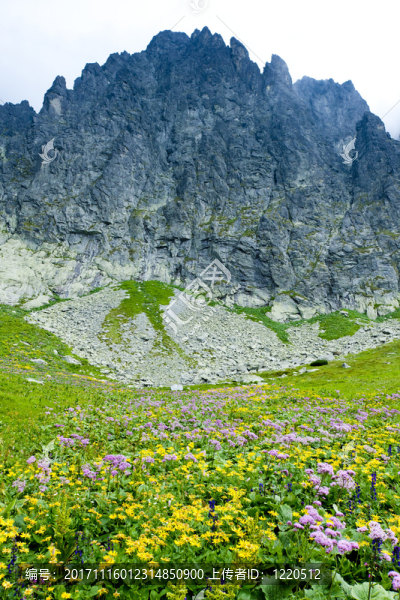 山