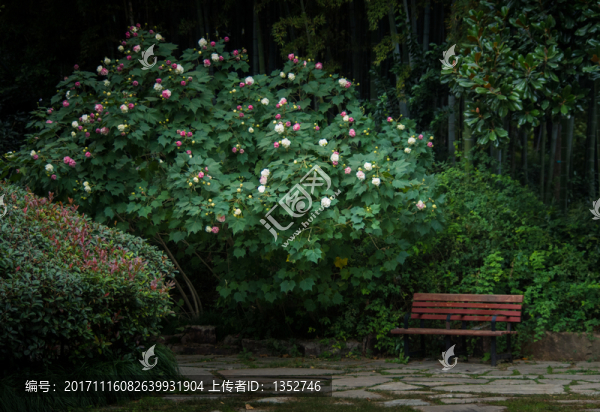 公園美麗角
