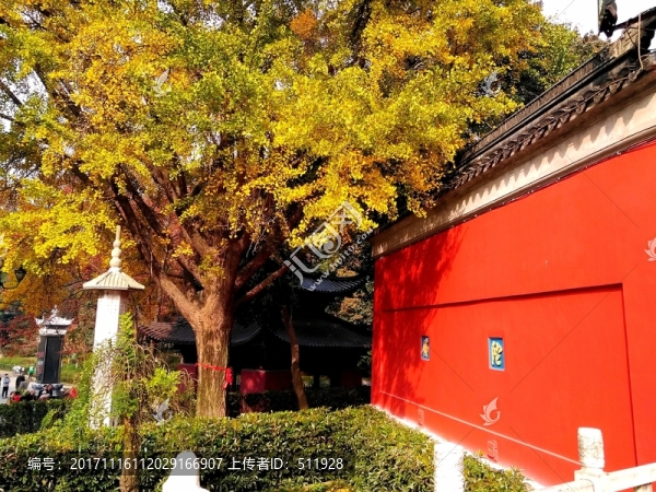 棲霞寺,棲霞山之秋