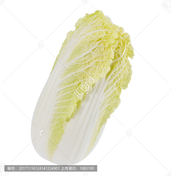 大白菜