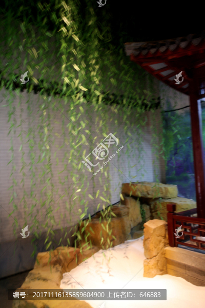 垂柳柳樹,小溪