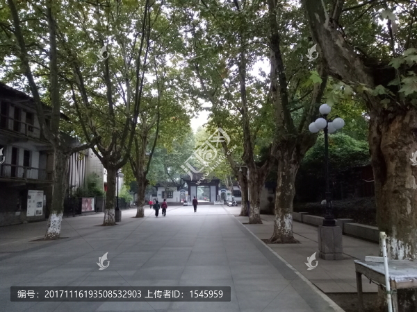 安慶菱湖大門口風(fēng)景