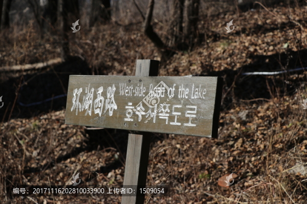 路牌