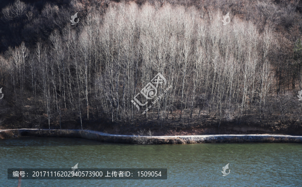山水