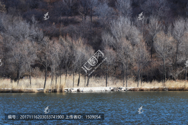 山水