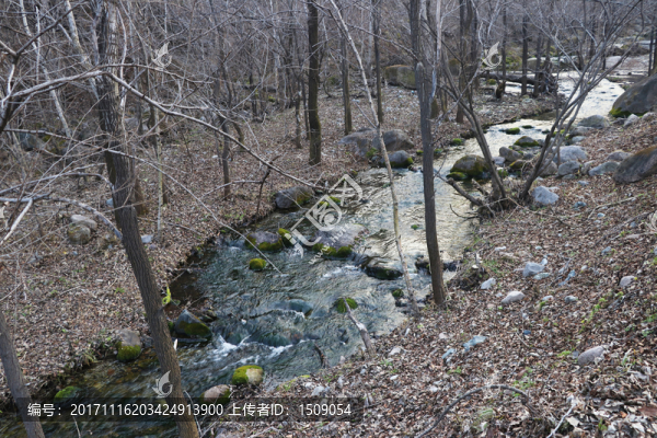 小溪