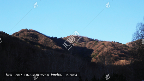 山頭