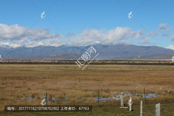 雪山,草原