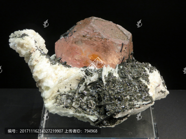 摩根石,鋰云母,鈉長石