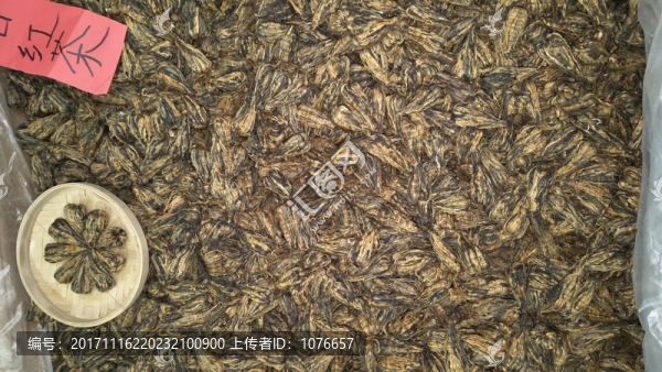 紅茶,高清實拍