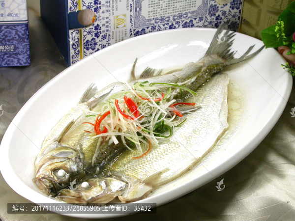太湖白魚