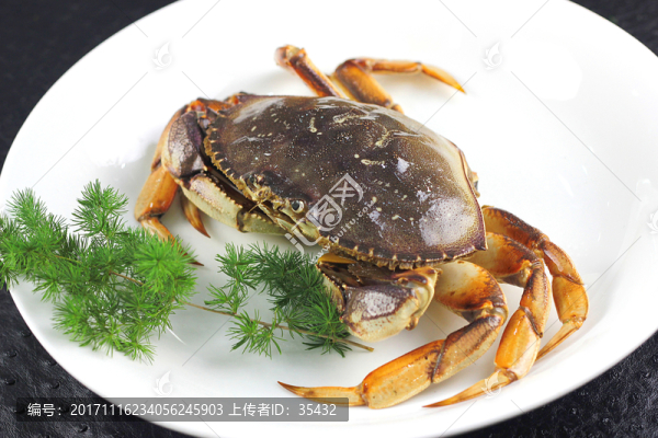珍寶蟹