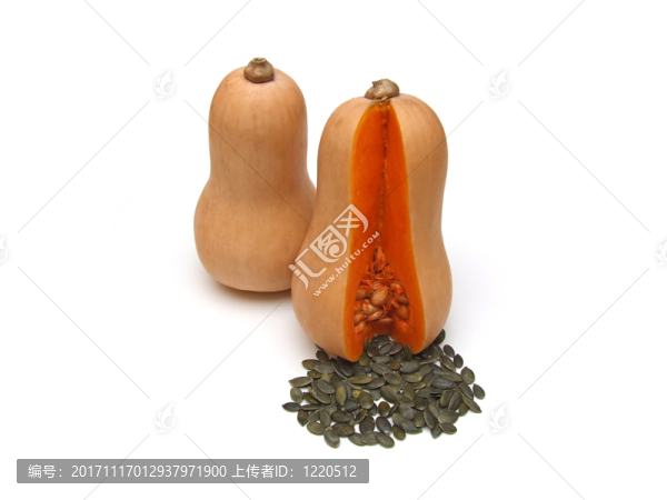 南瓜（南瓜瓜）