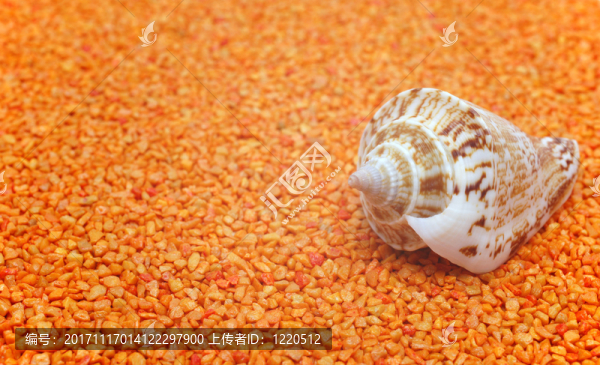 靜物